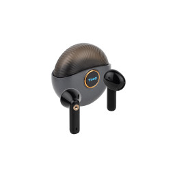 SNAIL AURICULARES...