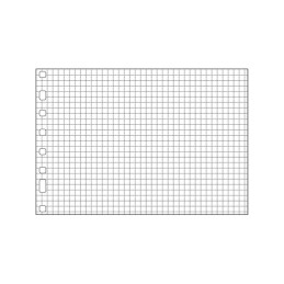 RECAMBIO 50h FINOCAM...